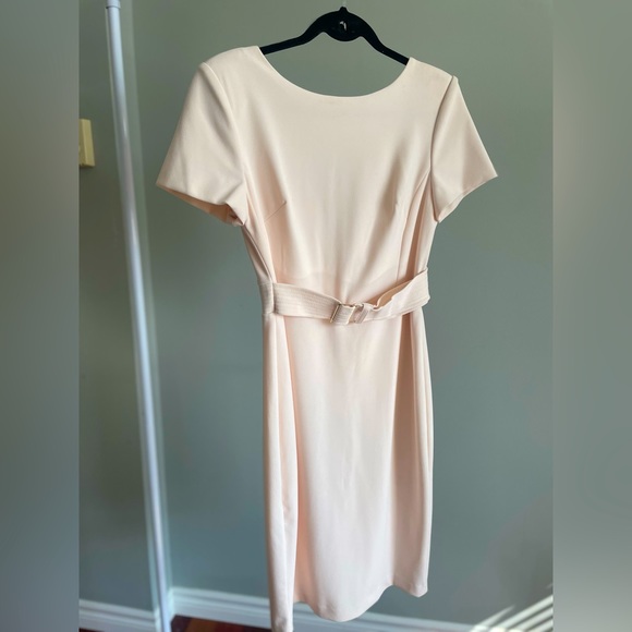 Calvin Klein Dresses & Skirts - Calvin Klein Belted Sheath Dress in Blush Pink Size 8